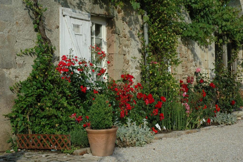 Château de l'Oiselinière Bed and Breakfast Gorges  Esterno foto