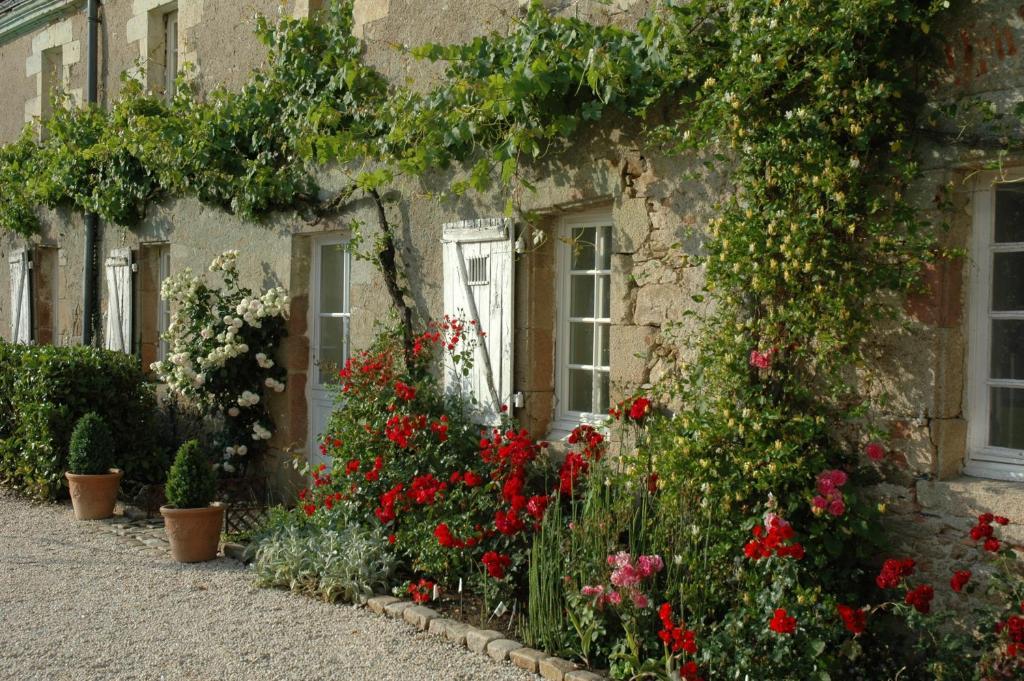 Château de l'Oiselinière Bed and Breakfast Gorges  Esterno foto